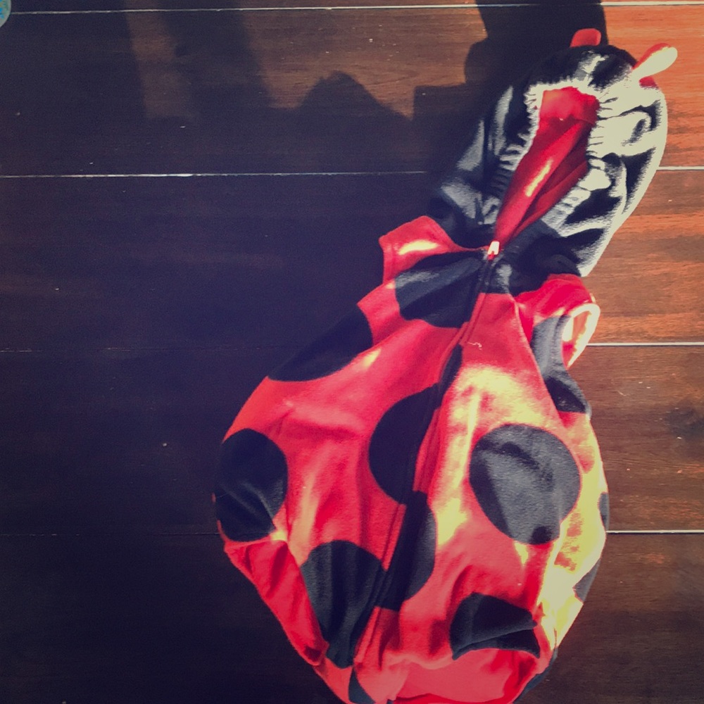 Carters ladybug 🐞 costume